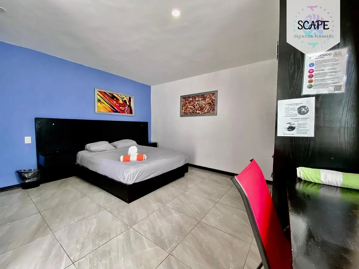 Apartment Calidos Y Amplios Estudios Con Alberca En El Centro De Cancun