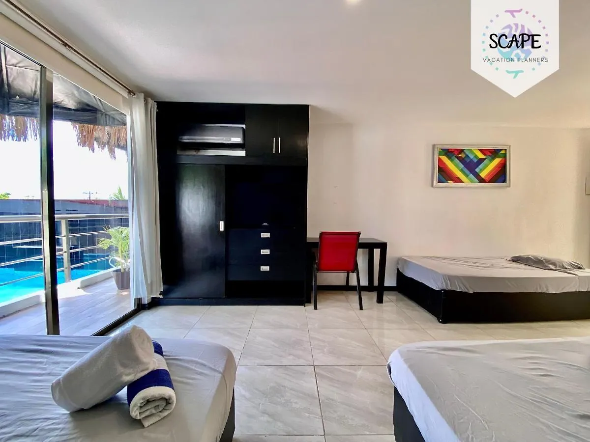 Calidos Y Amplios Estudios Con Alberca En El Centro De Cancun Apartment