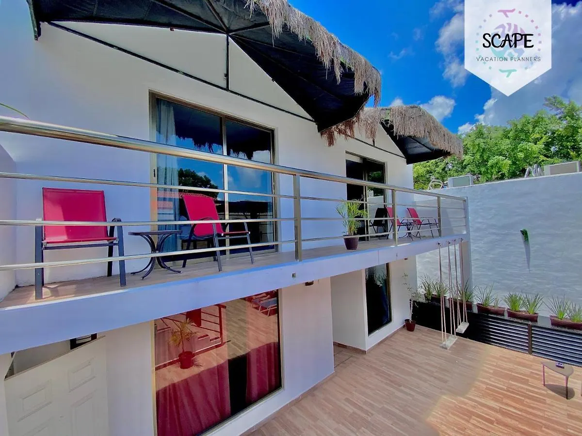 Apartment Calidos Y Amplios Estudios Con Alberca En El Centro De Cancun