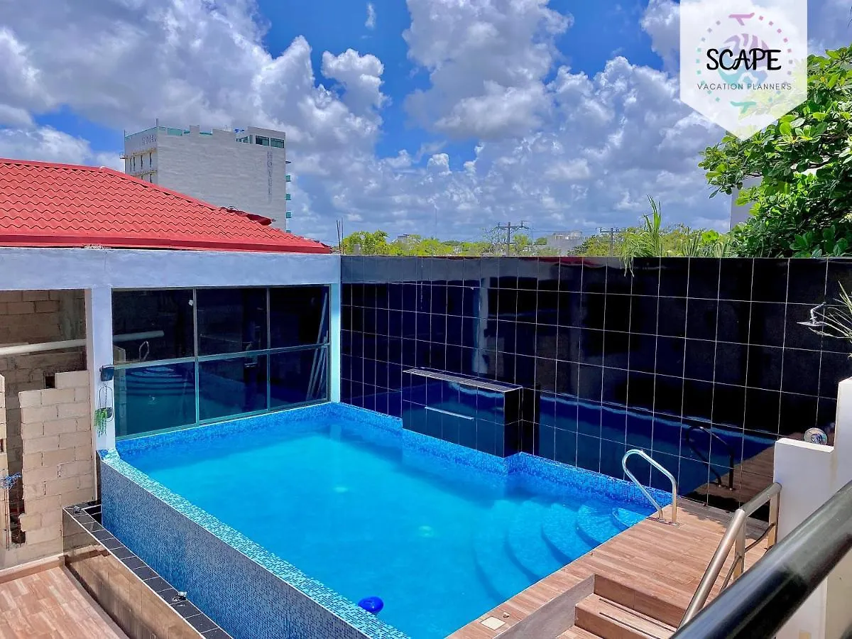 Apartment Calidos Y Amplios Estudios Con Alberca En El Centro De Cancun