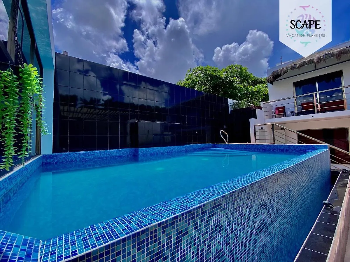 Apartment Calidos Y Amplios Estudios Con Alberca En El Centro De Cancun