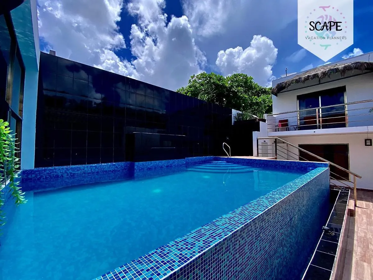 Calidos Y Amplios Estudios Con Alberca En El Centro De Cancun Apartment